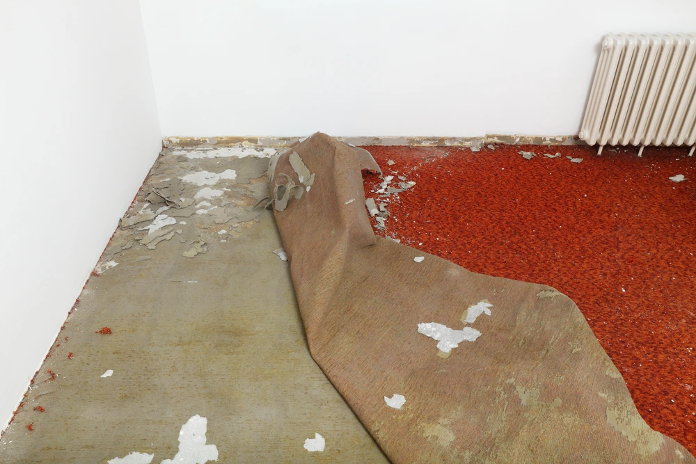 10 Tips for How to Remove Carpet: Expert Advice and Tools Needed