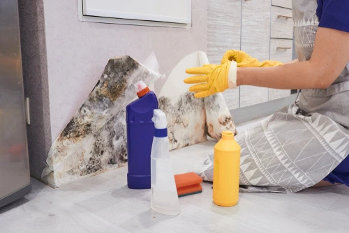 Choosing DIY Basement Cleaning