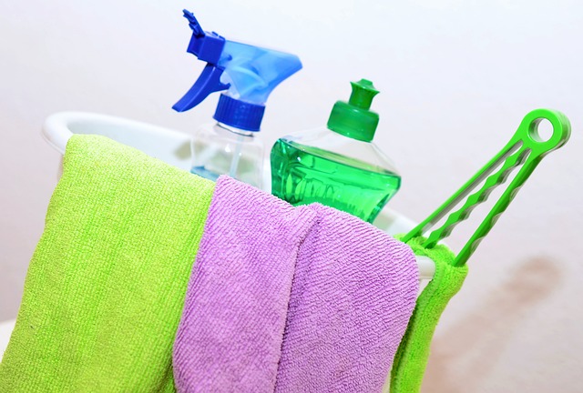 Cleaning Household Items and Structures