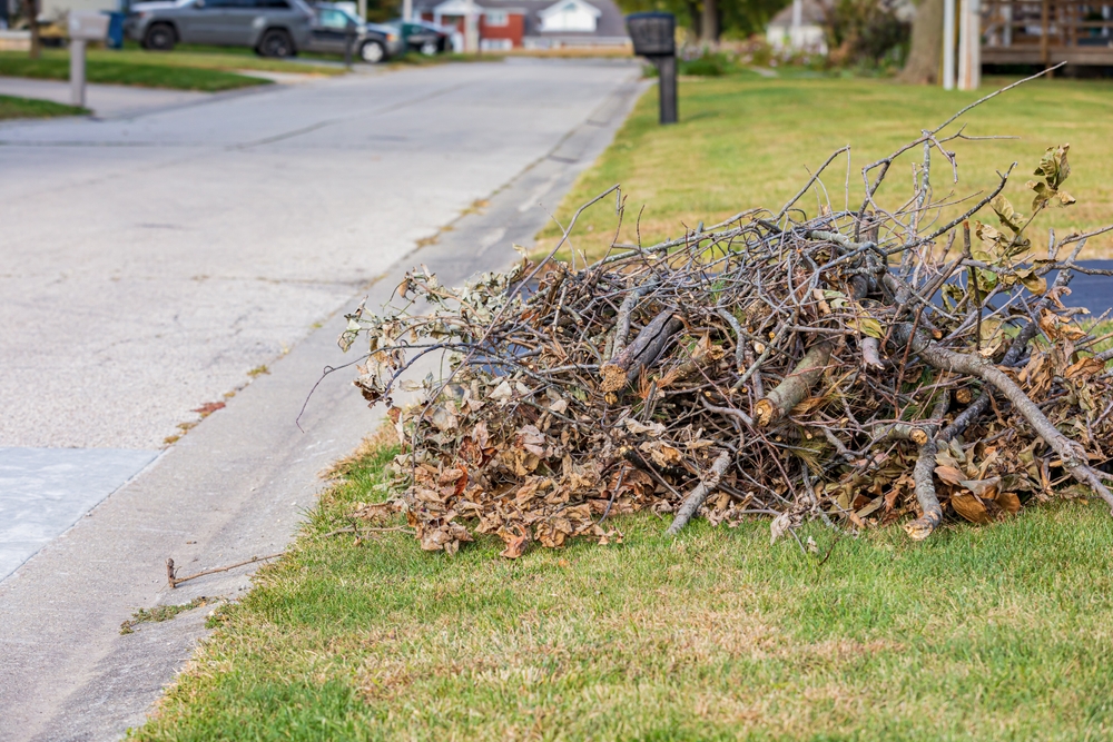 Dumpsters for Yard Waste: Everything You Need to Know