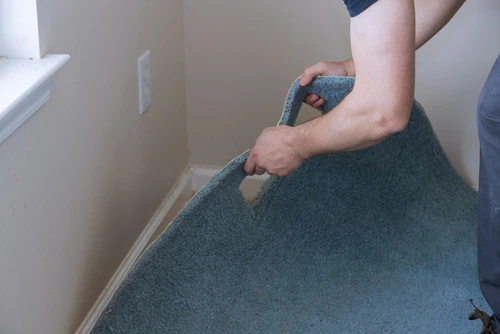 Gently pull carpet from corners