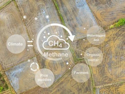 Methane Emissions