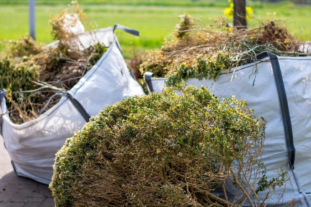 Proper Disposal of Yard Waste