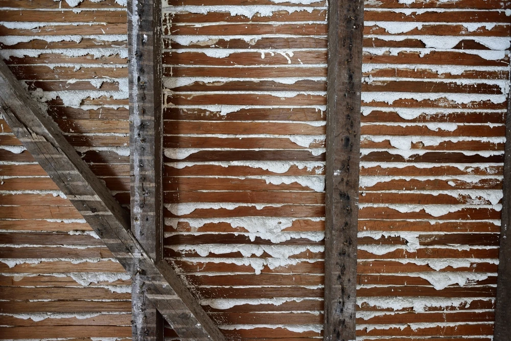 Removing Lath and Plaster: A Step-by-Step Guide for Home Renovation