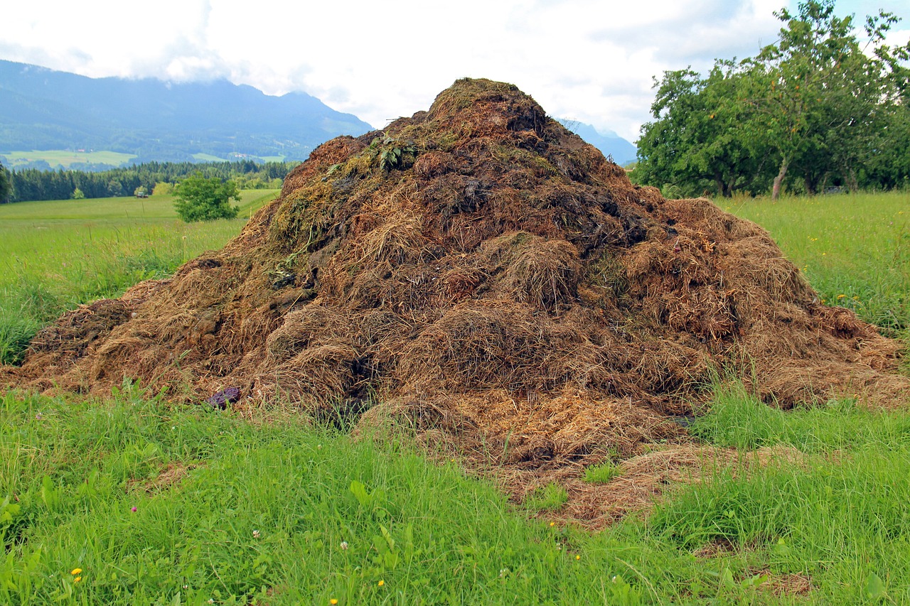 Rent a Dumpster for Yard Waste: Easy Cleanup Solutions