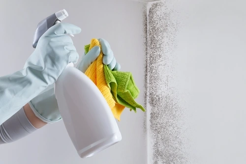 Support and Care Throughout the Cleaning Process