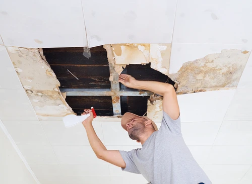 Take Down the Old Drywall