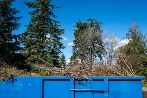 Temporary Dumpster’s Yard Waste Dumpsters