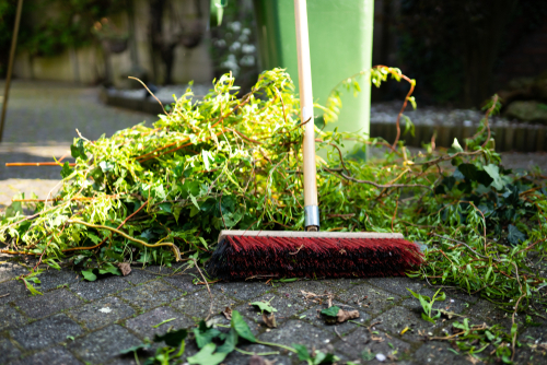 Why Yard Debris Needs to Go