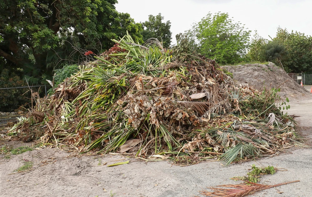 Yard Debris Removal a Comprehensive Guide for Easy Cleanup